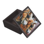 Clydesdale Closeup Premium Jewelry Box