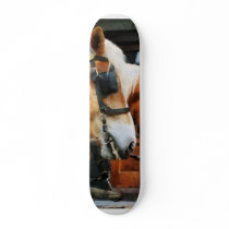 Clydesdale Closeup Custom Skate Board