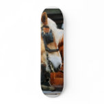 Clydesdale Closeup Custom Skate Board