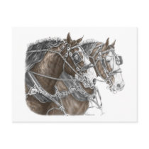 Clydesdale Draft Horse Art postcards by KelliSwan Clydesdale Draft Horse Art postcards