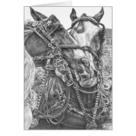 Clydesdale Draft Horse Drawing by Kelli Swan Greeting Cards