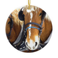 Clydesdale Draft Horse Ornament