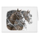 Clydesdale Draft Horse Team Cards