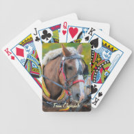 Clydesdale Draft Horse Ultimate Designer Pack Card Decks