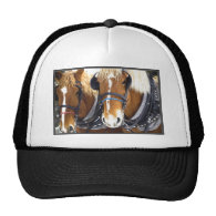 Clydesdale Draft Horses Hat