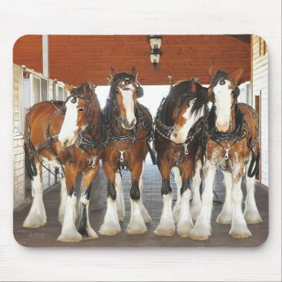 Clydesdale Draft Horses in the Barn Mousepads by horse_designs