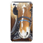 Clydesdale Draft Horses iTouch Case iPod Case-Mate Cases