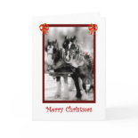 Clydesdale Draft Horses, Merry Christmas card