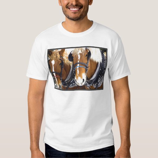 clydesdale shirt