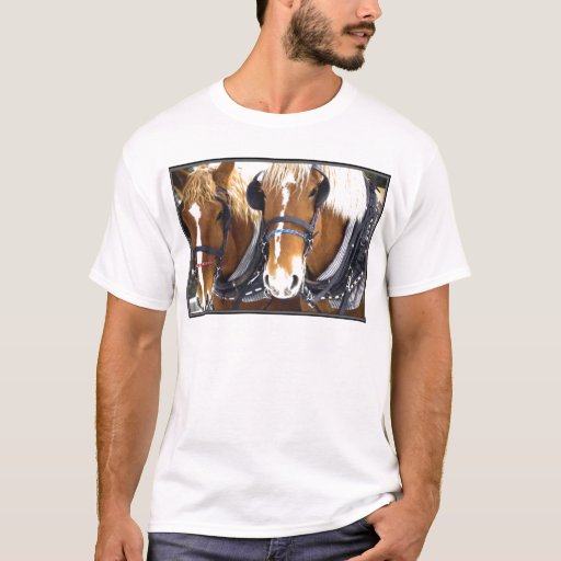 clydesdale shirt