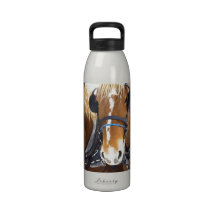 Clydesdale Draft Horses Water Bottle