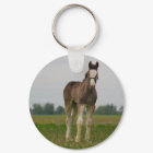 clydesdale filly keychain
