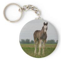 clydesdale filly keychains
