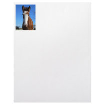 Clydesdale filly letterhead by randolph259 Clydesdale filly letterhead
