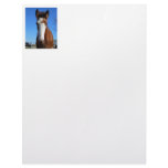 Clydesdale filly custom letterhead
