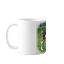 Clydesdale Filly mugs