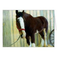 Clydesdale Greeting Card