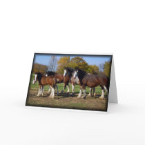 clydesdale group cards