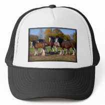 clydesdale group hats