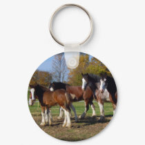 clydesdale group keychains by randolph259 clydesdale group keychains