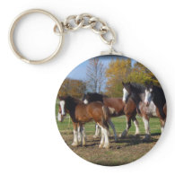 clydesdale group keychains