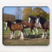 clydesdale group mousepads