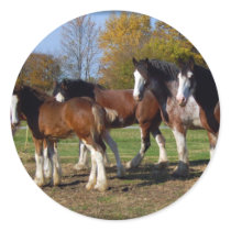 clydesdale group sticker