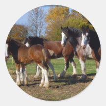 clydesdale group sticker