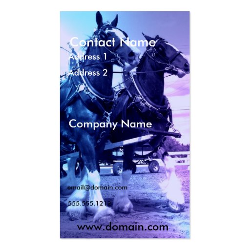 Clydesdale Horse Business Card (front side)