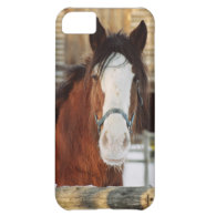 Clydesdale horse cover for iPhone 5C