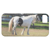Clydesdale Horse iPhone 5 Cases