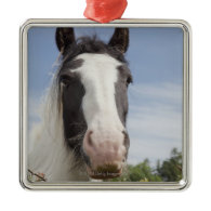 Clydesdale horse portrait ornament