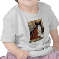 Clydesdale horse t-shirt