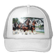 Clydesdale Horses Mesh Hats