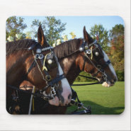 Clydesdale Horses mousepad