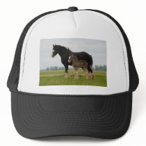 clydesdale mare and filly mesh hats