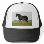 clydesdale mare and filly hats