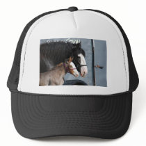 clydesdale mare and filly mesh hats