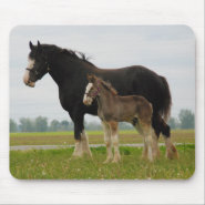 clydesdale mare and filly mousepad