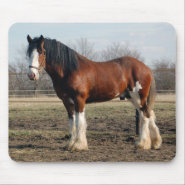 Clydesdale mousepad mousepad