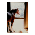Clydesdale posters by Jack_of_Arts Clydesdale posters