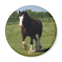 Clydesdale Running magnets by randolph259 Clydesdale Running magnets