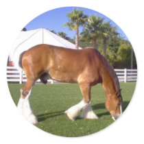 Clydesdale stickers