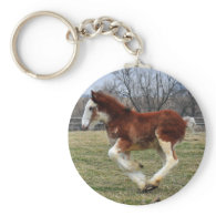 Clydesdale stud colt running key chains