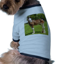 clydesdale stud pet clothing