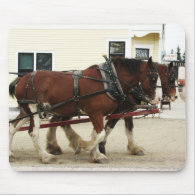 Clydesdale Team Mousepad