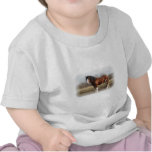 clydesdale white border t-shirts