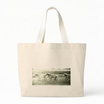 Clydesdales Bags