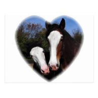 Clydesdales in heart postcard