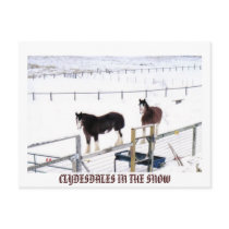 CLYDESDALES IN THE SNOW postcards